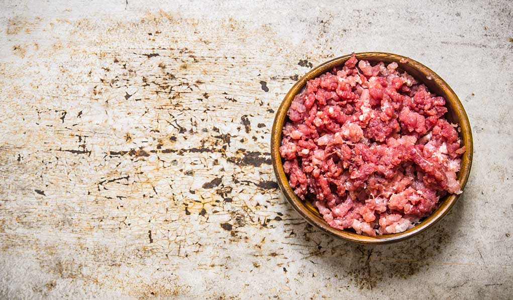 Company Recalls Dog Food For Salmonella Risk | Healthy Examiner