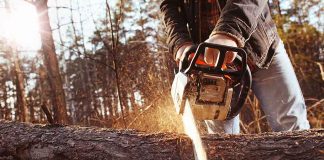 chain saws recalled