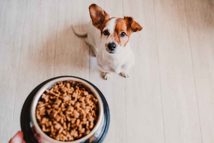 Pet Food Recalled Due To Salmonella Contamination