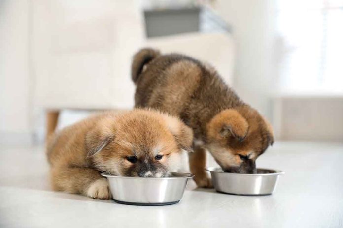 Pet Food Recalled Due To Listeria Contamination